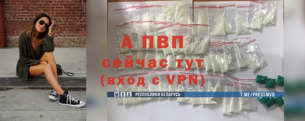 дживик Абаза