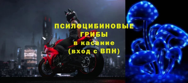 дживик Абаза