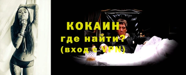 дживик Абаза