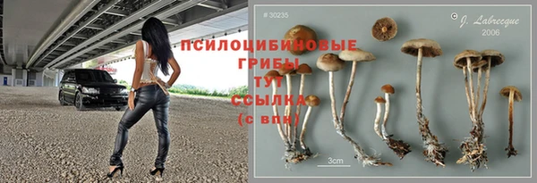 трава Алексин
