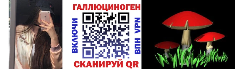где купить наркоту omg ССЫЛКА маркетплейс официальный сайт Чердынь Псилоцибиновые грибы мухоморы